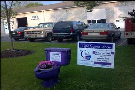 Woman using purple toilets to fight cancer