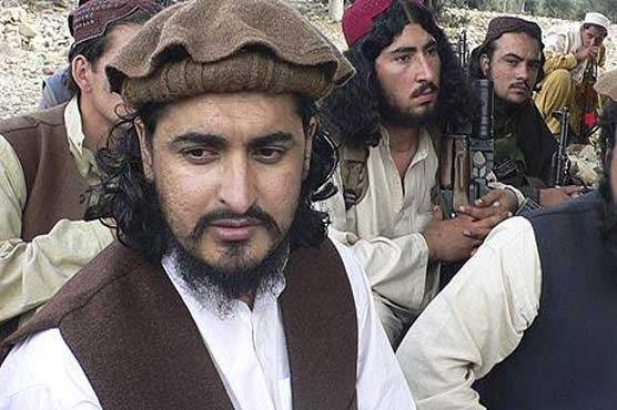 TTP confirms Hakimullah Mehsud's death in US drone attack