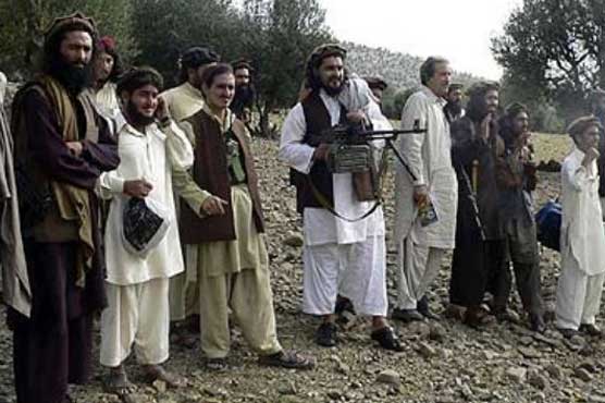 Taliban chief lived in US$120,000 farmhouse