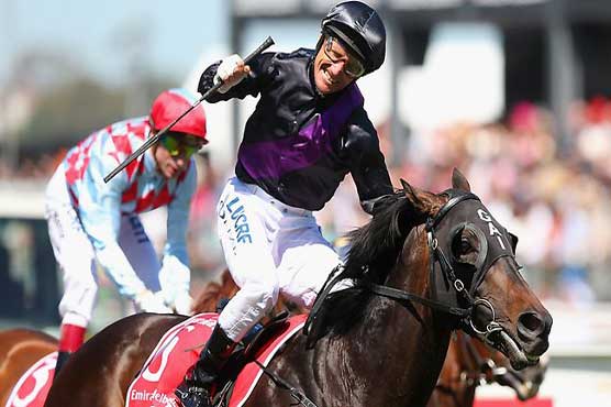 Fiorente wins Melbourne Cup for Gai Waterhouse