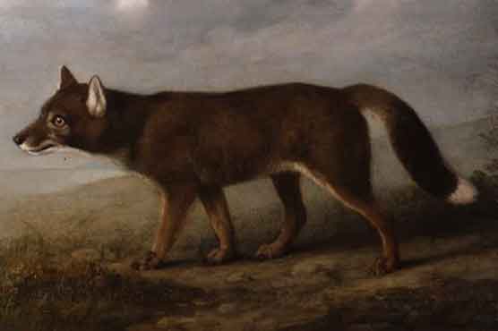 UK foils Australian bid to buy kangaroo, dingo paintings 