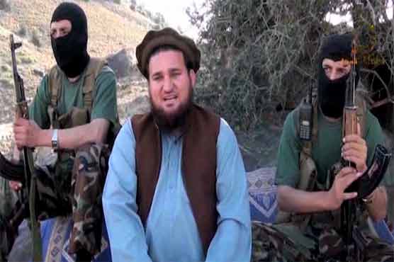 Zero possibility of talks with government: TTP spokesman 