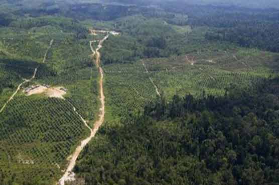 13 killed in Indonesia copter crash