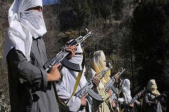 Talks with Taliban: FATA political Jirga to meet in Peshawar 