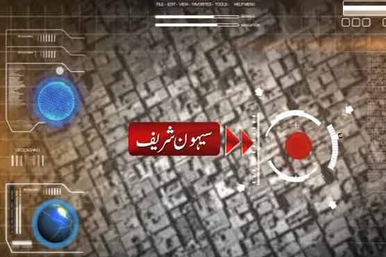 Sehwan: 4 pilgrims die in road mishap