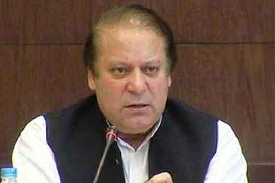 PM‚ FATA Senators discuss security situation 