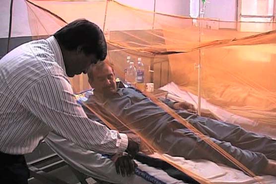 Dengue claims one more life in Lahore 