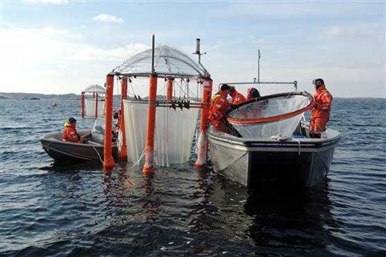 Scientists warn of hot, sour, breathless oceans