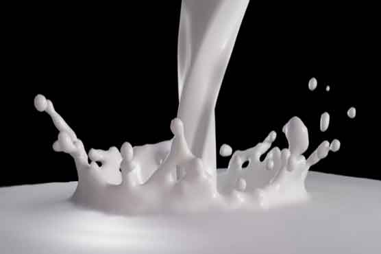 Pakistan can lead milk market if it controls animal diseases 