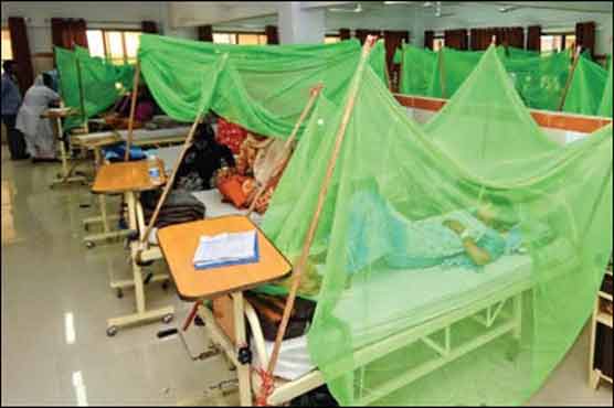 Dengue fever surges in Punjab, 89 new cases confirmed