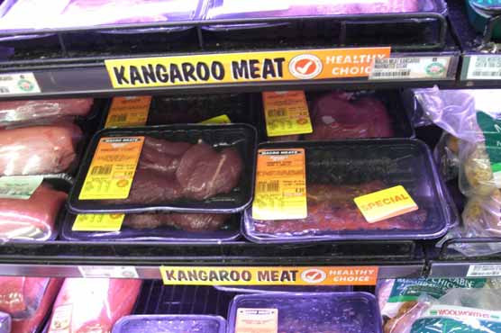 Australia kangaroo exporters eye meat-hungry Chinese market
