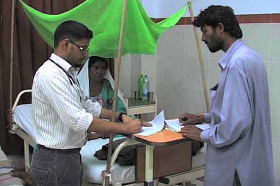 Punjab: Another 33 suffer from dengue in 24 hours