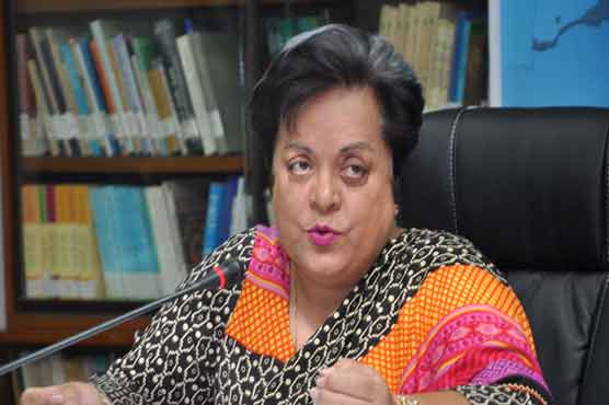 PM failed to convey Pak concerns to US on drone issue: Mazari