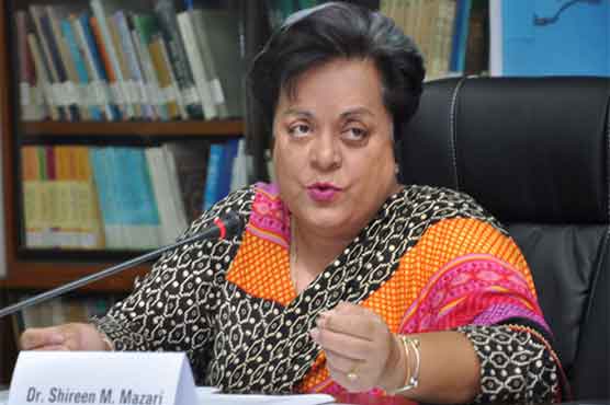 PML-N ministers following previous PPP govt's line: Mazari