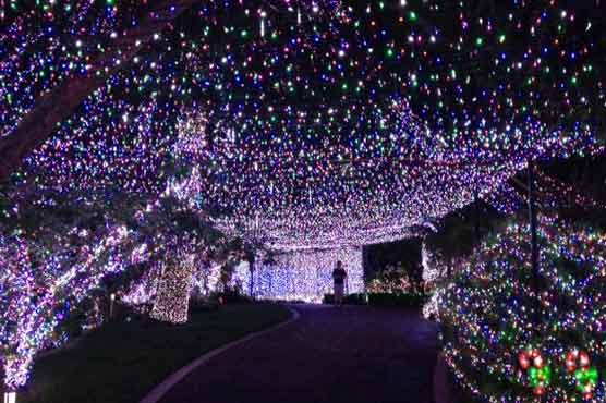 Australian family sets world record for Christmas lights 