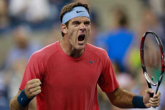 Del Potro beats Baghdatis at Japan Open