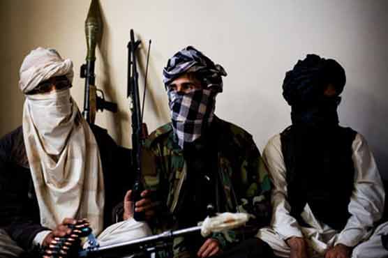 TTP ready for ceasefire if govt does so first: spokesman 