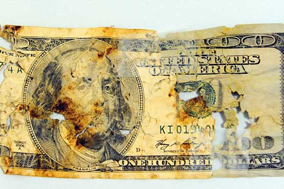 Man says dog ate his money and U.S. Treasury paid up