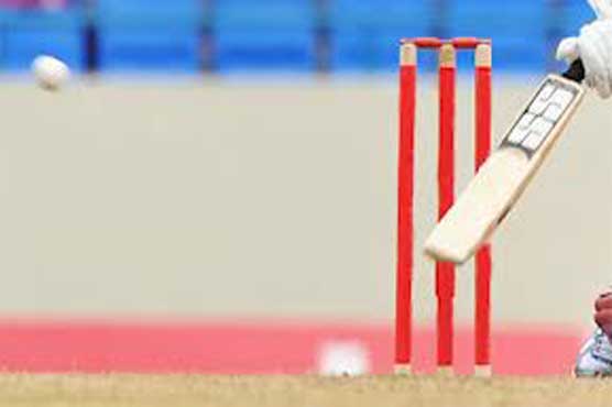 Afghanistan seek WC boost from Pakistan, India