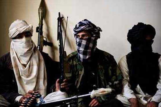 Afghan Taliban supporting TTP: spokesman