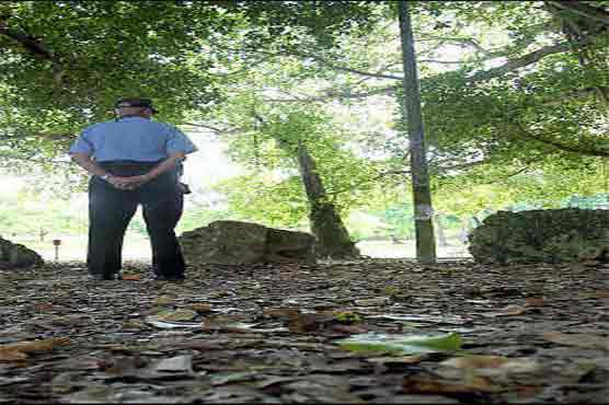 Poland honors WWII resistance fighters