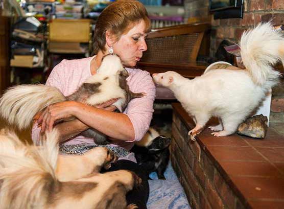 Woman shares her home with 50 skunks