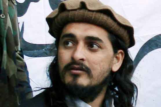 Taliban open to 'serious' talks, govt handed over issue to media: Hakeemullah 