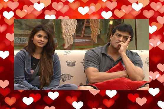 Tanisha falls in love in 'Bigg Boss 7'?