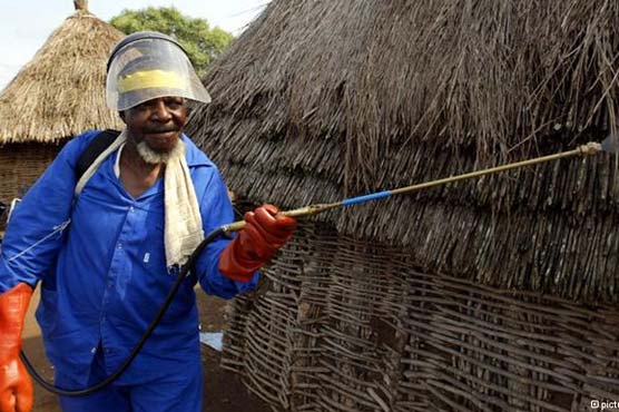 South Africa winning malaria fight with DDT help: report