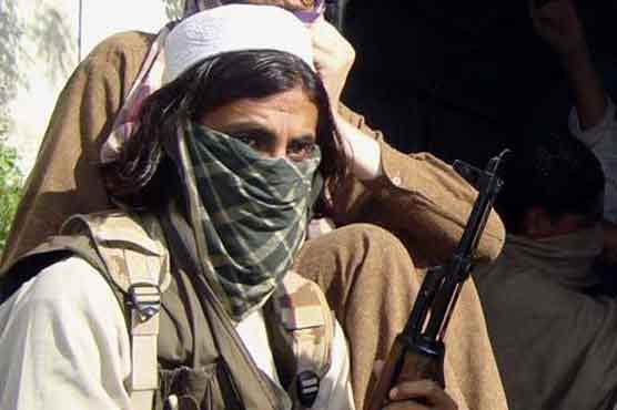 Senior Pakistan Taliban captured in Afghanistan