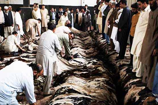 Punjab bans sacrificial hides collection points 