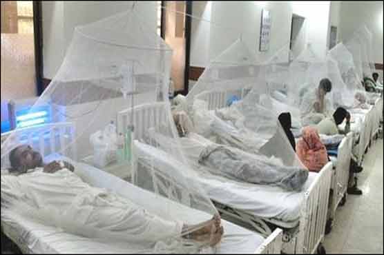 35 more fall victim to dengue in Punjab