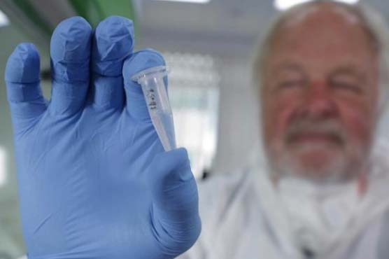 DNA links mysterious Yeti to ancient polar bear