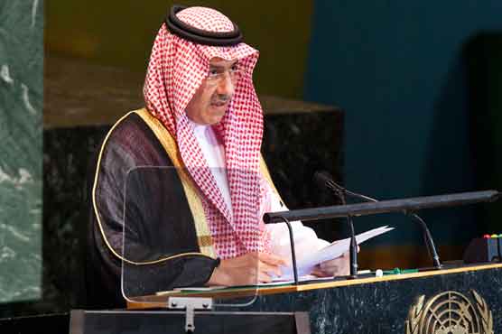 Saudi Arabia rejects UNSC seat