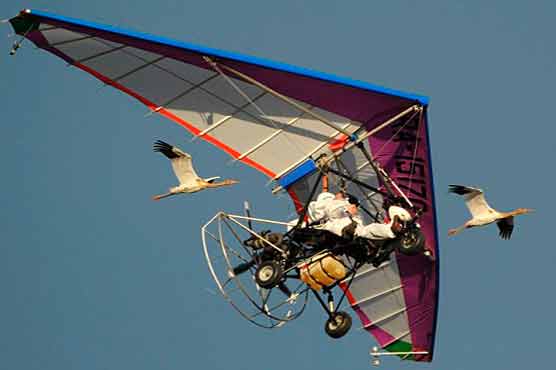 Putin's crane is found after losing its way 