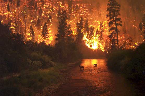 Global warming linked to wildfires