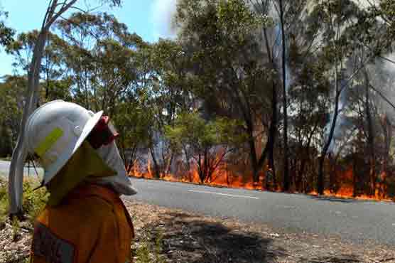 Australian PM denies climate change links to bushfires