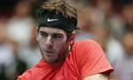 Del Potro beats Federer in Swiss Indoors final