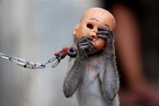 Indonesian city trying to end masked monkey shows