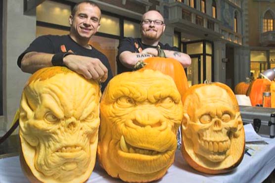 1.5 million-year-old remains still source of wisdom