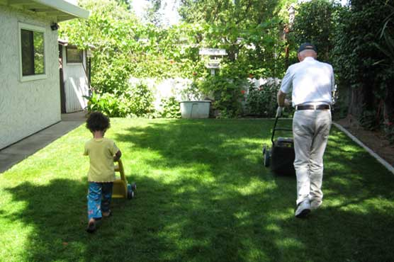 Gym not for you? Easy home tasks also help heart