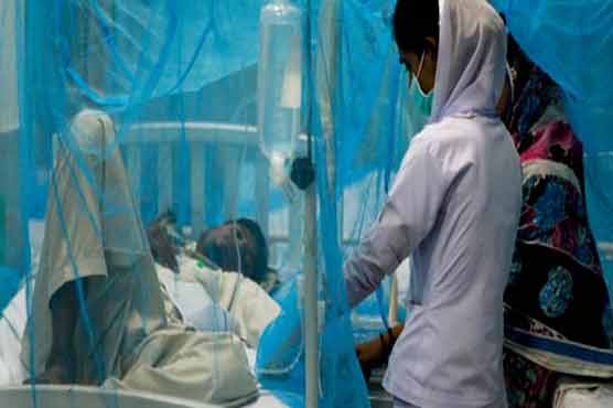 Dengue-hit patients’ toll mounts to 890 
