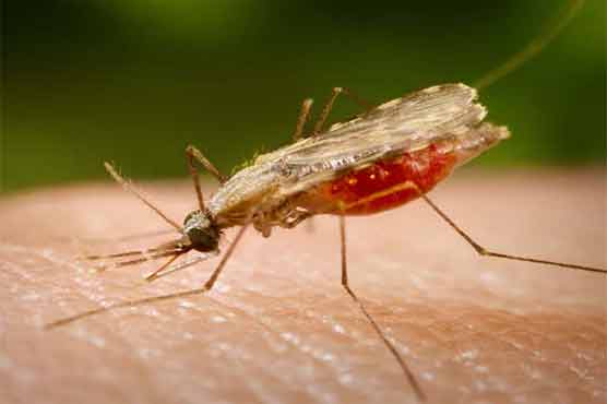 Food insecurity, malaria major threats for flood victims: Report
