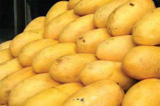 ‘Australia biased on Pak mango import’