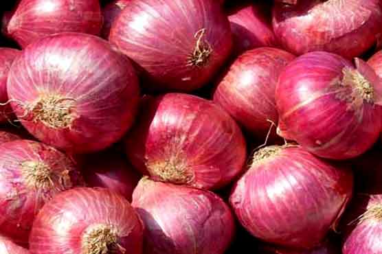 Online sale of onion gets overwhelming response in India