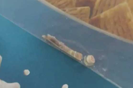 Woman claims she found mouse bone in cereal