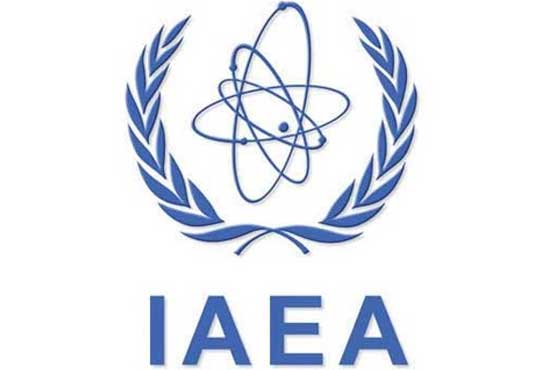 Differences with IAEA can be resolved: Iranian nuclear envoy
