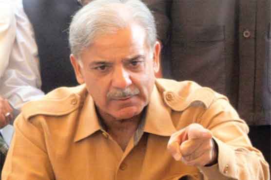 CM Punjab takes notice of 5-year-old girl's rape 