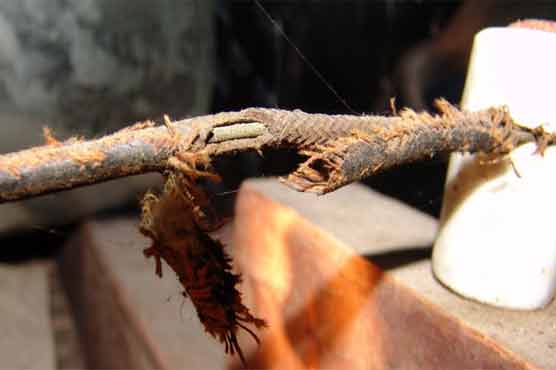 سکھر: 10 سالہ بچی کرنٹ لگنے سے جاں بحق