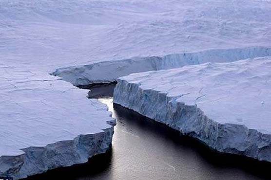 Arctic ice melt slows down: NASA